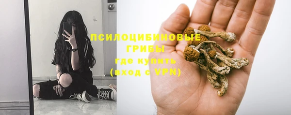 spice Алексеевка