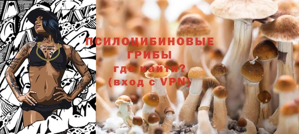 индика Алзамай