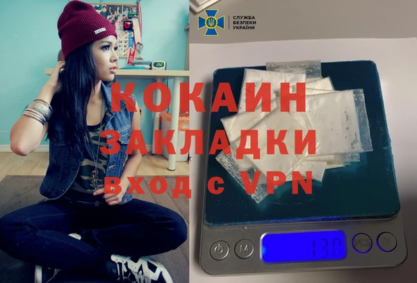 индика Алзамай