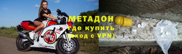индика Алзамай