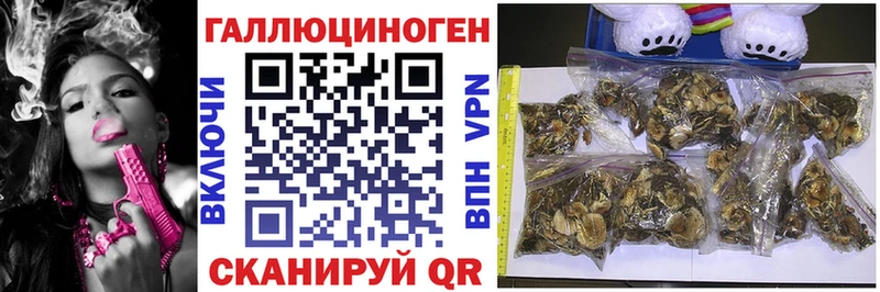 маркетплейс клад закладки Дубовка Галлюциногенные грибы мухоморы